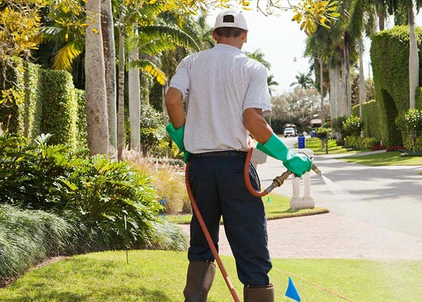 About Holmes Mill KY Pest Control